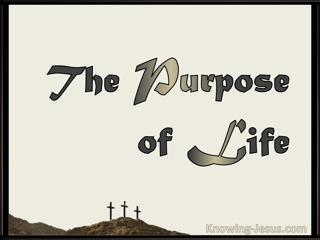 The Purpose Of Life (devotional)03-31 (beige)